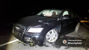 Polizeipräsidium Rheinpfalz: POL-PPRP: (Ludwigshafen) - Verkehrsunfall mit Überschlag