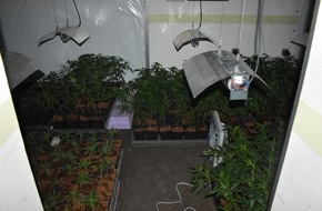 Polizeiinspektion Harburg: POL-WL: Cannabisplantage beschlagnahmt