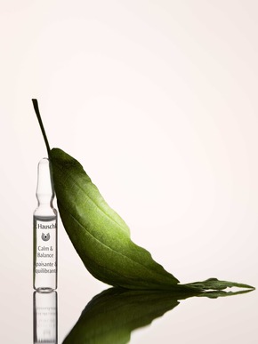 Neustart f&uuml;r die Haut: Die Dr. Hauschka Ampullenkuren unterst&uuml;tzen die n&auml;chtliche Regeneration der Haut und pr&auml;sentieren sich mit neuem Design, optimierter Anwendung und reduzierter Verpackung.