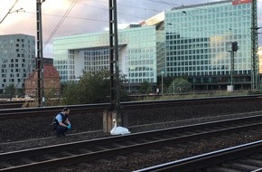 Bundespolizeiinspektion Hamburg: BPOL-HH: Schwan im Gleisbereich sorgt für Einsatzmaßnahmen