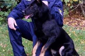 Polizeipräsidium Nordhessen - Kassel: POL-KS: Verkehrskontrolle: Diensthund "Hancock" spürt Drogen im Handschuhfach auf