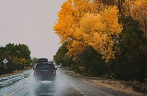 Oehler Web: Die beliebtesten Automarken und Modelle für einen Autoverkauf im Herbst – Jetzt ist der richtige Zeitpunkt, Ihr Auto in der Schweiz zu verkaufen!