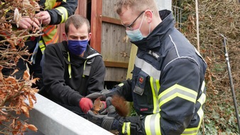 Freiwillige Feuerwehr Celle: FW Celle: Eichhörnchen aus misslicher Lage befreit - Celler Feuerwehr befreit Eichhörnchen aus zwei Meter hohem Zaunpfahl