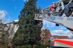 Feuerwehr Bottrop: FW-BOT: Aufräumarbeiten nach Sturmtief "Zeynep" dauern weiter an