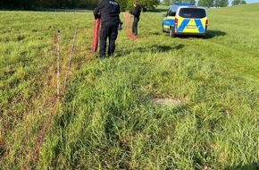Polizeiinspektion Neubrandenburg: POL-NB: Schaf eingefangen, Zaun repariert
