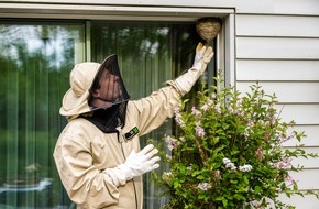 ADAC SE: ADAC Zuhause Versicherung: Wespennester nie in Eigenregie entfernen