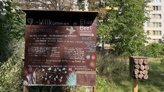 Berliner Friedhof 🪦: Stiftung für Mensch und Umwelt setzt neue Impulse zur Förderung der Biodiversität 🌿 🌼 🐝