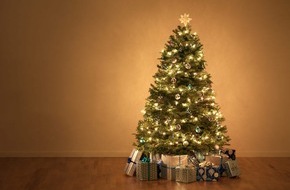 Sparwelt.de: Online Weihnachtsbäume kaufen: Preis-Leistungs-Vergleich