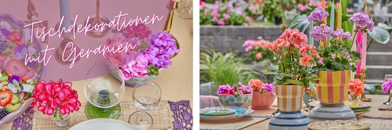 Pelargonium for Europe: Blühende Sommertafeln: Neue Ideen für farbenfrohe Tischdekorationen mit Geranien