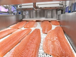 GEA pr&auml;sentiert neuen Lakeinjektor f&uuml;r Linien mit kleiner bis mittlerer Kapazit&auml;t