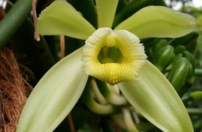 Universität Kassel: Wissenschaft als Feierabend-Snack: Vortrags-Reihe im UNI:Lokal