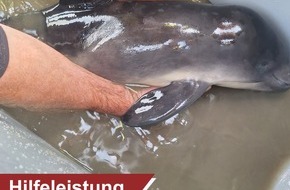 Polizeiinspektion Wilhelmshaven/Friesland: POL-WHV: Schweinswal aus dem Watt gerettet