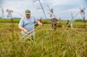 Bergwaldprojekt e.V.: 40 Freiwillige mit dem Bergwaldprojekt im Einsatz für die Artenvielfalt im Nationalpark Jasmund