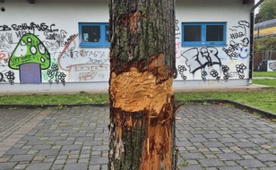 Polizeipräsidium Südosthessen: POL-OF: Hinweise erbeten: Wer hat den Baum beschädigt?; Einbrecher nahmen Schmuck und Bargeld mit; 8.000 Euro Sachschaden durch Unfallflucht: Wer kennt den Verursacher? und mehr