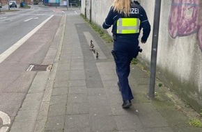 Kreispolizeibehörde Rhein-Kreis Neuss: POL-NE: Polizei begleitet Entenfamilie in den "sicheren Hafen"
