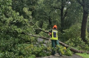 Freiwillige Feuerwehr Aurich: FW-AUR: Baum stürzt auf Telefonleitung und Fahrbahn
