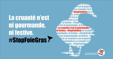VIER PFOTEN - Stiftung für Tierschutz: La cruauté n'est ni gourmande, ni festive. #StopFoieGras