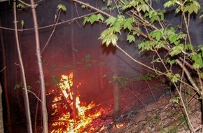 Kreisfeuerwehrverband Calw e.V.: KFV-CW: Waldbrand bei Schömberg OT Bieselsberg. Polizeihubschrauber unterstützt Feuerwehr.