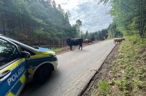 Kreispolizeibeh&ouml;rde M&auml;rkischer Kreis: POL-MK: Tierisch viel los