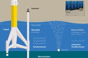 Trianel GmbH: Schallschutz für Meeresbewohner / Vorbereitungen für den Trianel Offshore Windpark laufen an (mit Bild)