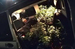 Polizeipräsidium Neubrandenburg: POL-NB: Meldung eines Wasserrohrbruches führt zur Feststellung einer Indoor-Cannabis-Zucht, LK V-R
