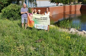 Universität Osnabrück: Zum Schutz der Wildpflanzen - Projekt am Botanischen Garten der Universität Osnabrück erhält erneute UN-Dekade-Auszeichnung