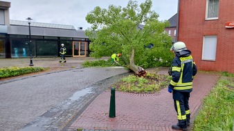 FFW Gemeinde Schwalmtal: FFW Schwalmtal: Umgestürzter Baum auf Fahrbahn