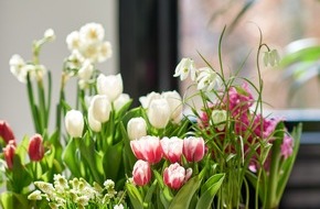 Blumenbüro: Auf Wiedersehen, Winter - Hier kommt der Frühling / Diese Frühlingsboten lassen die Herzen höher schlagen