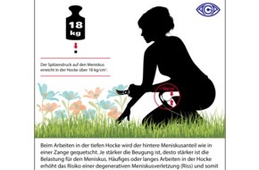 AGA Gesellschaft für Arthroskopie und Gelenkchirurgie: Sommerzeit  - Gartenzeit: Auf die Knie, fertig, los! / Gartenarbeit ohne Reue - 8 Tipps von den Orthopäden der AGA, wie Sie Ihre Kniegelenke schonen können