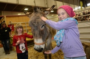 Messe Berlin GmbH: "Horseday4Kids" macht HIPPOLOGICA Berlin 2015 zum größten Klassenzimmer der Hauptstadt