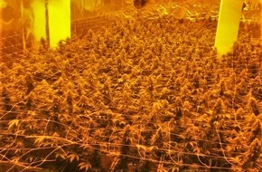 Kreispolizeibehörde Borken: POL-BOR: Ahaus-Ottenstein - Cannabisplantage entdeckt / 400.000 kWh Stromverbrauch im Jahr
