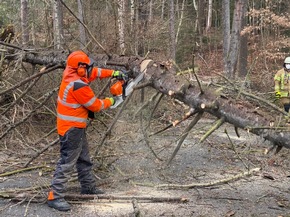 FW-MK: Umgestürzte Bäume durch Windböen