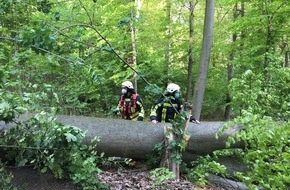 Feuerwehr Bochum: FW-BO: Umgestürzter Baum, viel Glück gehabt!