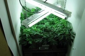 Polizeidirektion Göttingen: POL-GOE: (281/2008) Bei "allgemeiner Verkehrskontrolle" - 26-Jähriger unter Drogen am Steuer erwischt, Cannabisplantage hinter Schlafzimmerschrank entdeckt