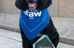 IFAW - International Fund for Animal Welfare: Animal Action Awards: IFAW ehrt Tierheld:innen in London