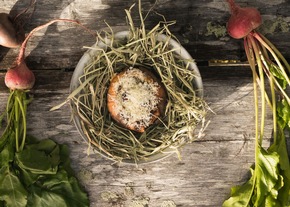 So schmeckt Lappland: Neue Food-Kampagne „Eat the landscape“ inspiriert mit arktischer Küche