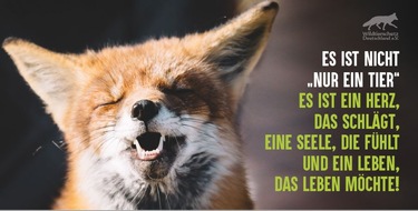 Wildtierschutz Deutschland e.V.: Baujagd des Dachshund-Clubs Nordbayern nicht tierschutzkonform