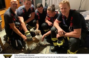 Feuerwehr München: FW-M: Rocky befreit - Geburtstag gerettet (Freimann)