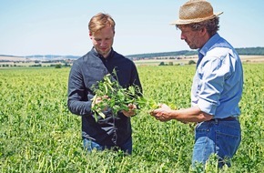 Nordzucker AG: Neues Geschäftsfeld: Nordzucker investiert in pflanzenbasierte Proteine - neues Werk geht 2026 in Betrieb