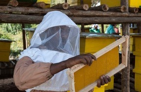 Stiftung Menschen für Menschen: Zum Weltbienentag am 20. Mai 2019 / Äthiopien: Arbeitsplätze dank Bienen