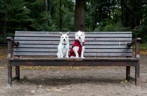 VIER PFOTEN - Stiftung f&uuml;r Tierschutz: Liebe ist Verantwortung &ndash; auch gegen&uuml;ber Haustieren