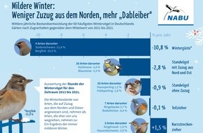 NABU: NABU: Wenig Meisen, aber viele Spatzen gezählt / "Stunde der Wintervögel" übertrifft Teilnahmerekord von 2020 um 65 Prozent