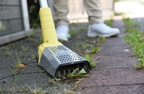 TÜV SÜD: Elektrische Unkrautvernichter: TÜV SÜD erklärt, worauf Verbraucher achten sollten