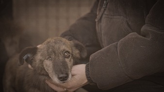 ProSieben: Was bewirken 70 Millionen gegen "Die Hunde-Mafia" in Rum&auml;nien? Das zeigen ProSieben und Joyn am Mittwoch, 15. April, um 20:15 Uhr