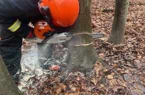 Feuerwehr Xanten: FW Xanten: Ausbildung für Arbeiten mit der Motorkettensäge