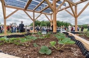 Albert-Ludwigs-Universit&auml;t Freiburg: Neue Versuchsanlage verbindet Erzeugung von Solarstrom und Landwirtschaft