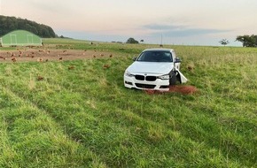 Polizeidirektion Montabaur: POL-PDMT: Unfall im Hühnerstall