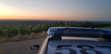 Polizeidirektion Neustadt/Weinstraße: POL-PDNW: Fahrraddiebstahl