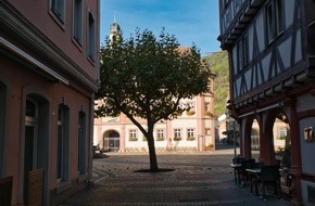 Bund f&uuml;r Umwelt und Naturschutz Deutschland e.V. (BUND): ++ BUND: B&auml;ume sch&uuml;tzen vor Hitze &ndash; Hitzeaktionstag 2026 | Umweltverband ruft zum Mitmachen mit der Mein-Baum-App auf  ++