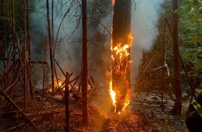 Feuerwehr Stuttgart: FW Stuttgart: Freitag, 17.06.2022: Bereits erster Waldbrand in Stuttgart - Feuerwehr warnt vor hoher Waldbrandgefahr